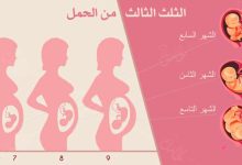 الثلث الثالث من الحمل – وفحوصات هامة للاستعداد للولادة