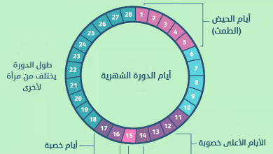 اكتشفي فترة الخصوبة عند محاولة الحمل