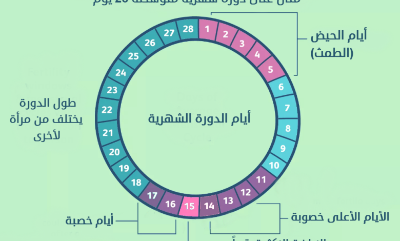 اكتشفي فترة الخصوبة عند محاولة الحمل